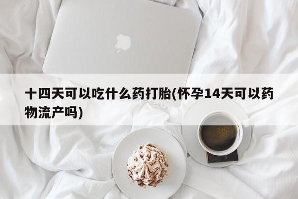 米非米索网上购买十四天可以吃什么药打胎(怀孕14天可以药物流产吗)